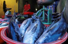 Jalan ke Pelelangan Ikan Pekalongan Senilai Rp3,3 Miliar Bakal Dibangun